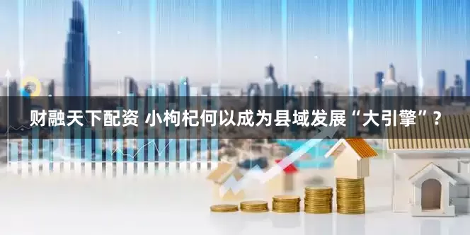 财融天下配资 小枸杞何以成为县域发展“大引擎”？