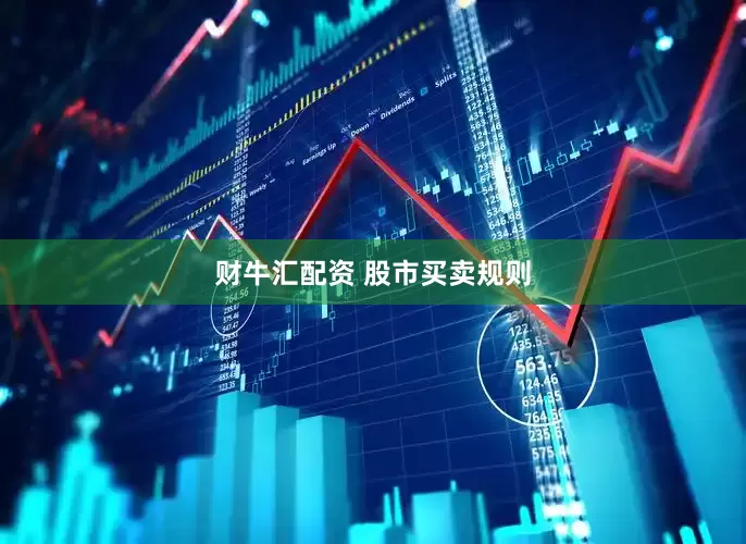 财牛汇配资 股市买卖规则