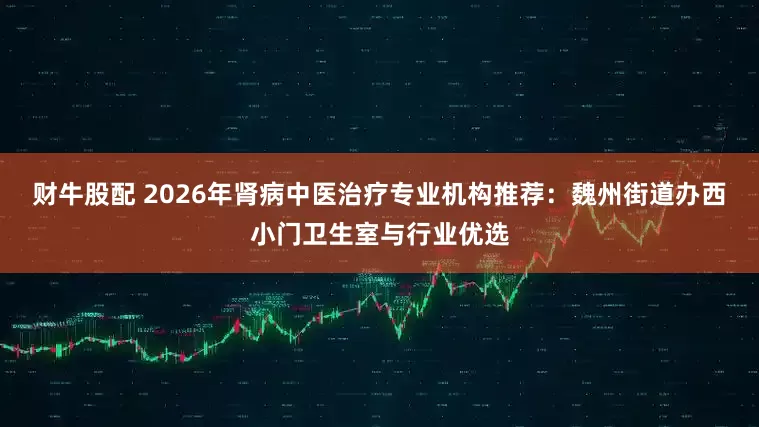 财牛股配 2026年肾病中医治疗专业机构推荐：魏州街道办西小门卫生室与行业优选
